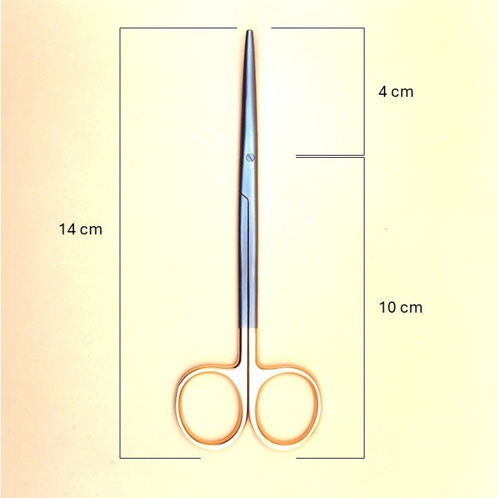 TC Surgical Tissue Scissors