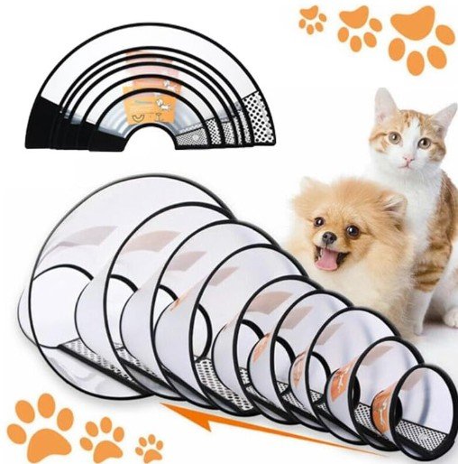 Pet Collar