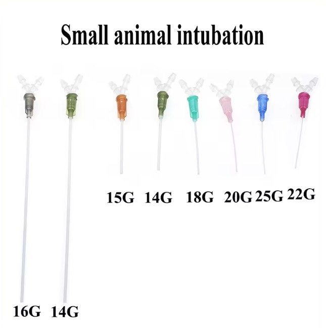 Exotic Tracheal Intubation