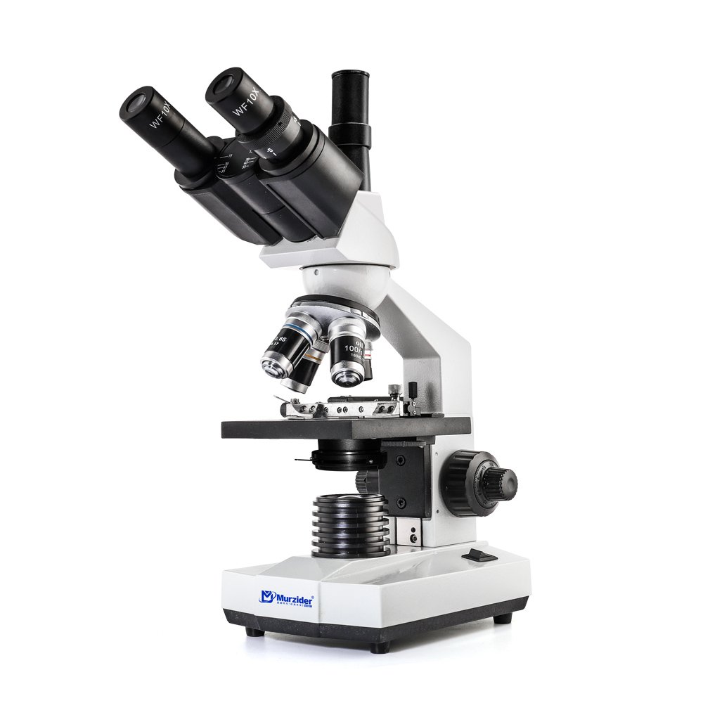 Biological Microscope