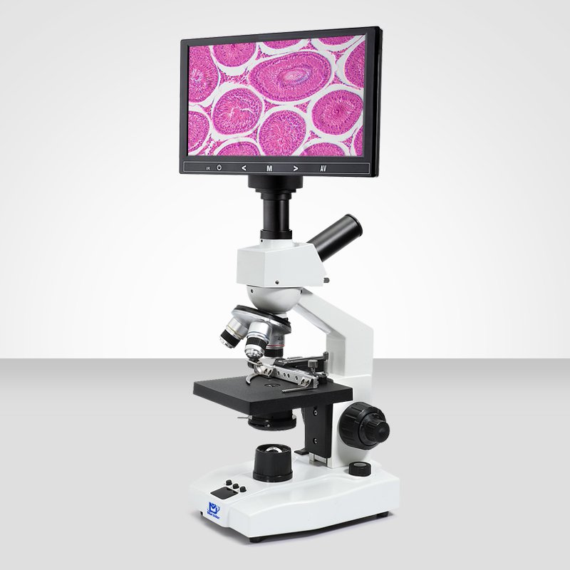 Biological Microscope