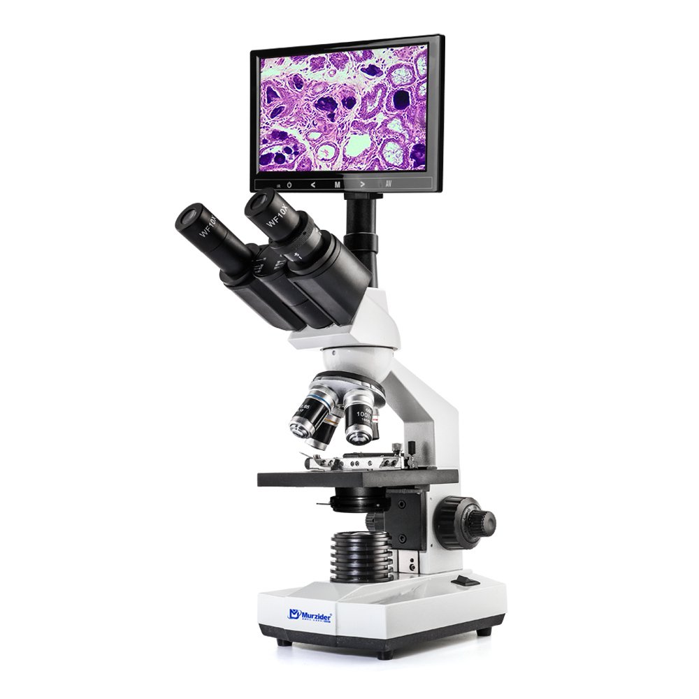 Biological Microscope